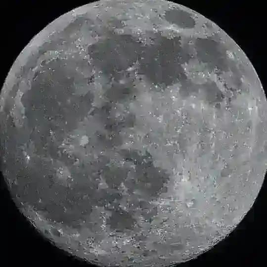 Сердце Муъмина