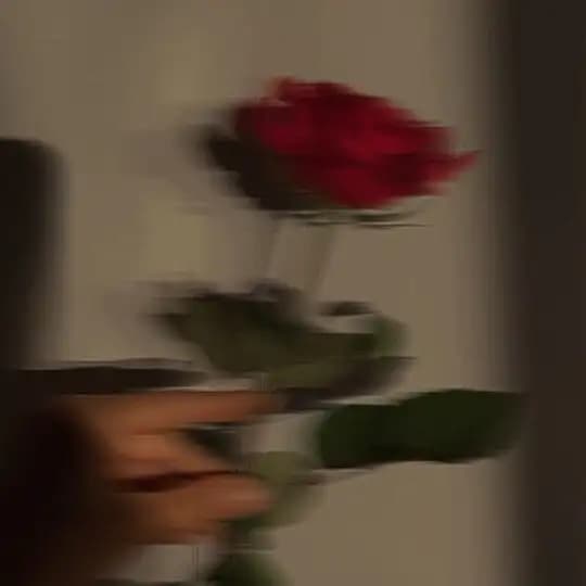🥀 𝙵_𝙴_𝙴_𝙻_𝙸_𝙽_𝙶 🥀
