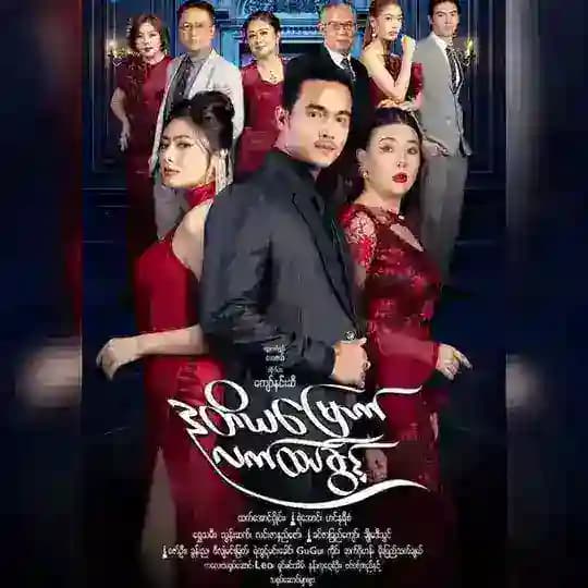 ဒုတိယမြောက်လက်ထပ်ခွင့် ဇာတ်လမ်းတွဲ Profile
