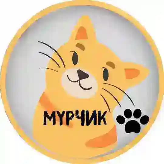 МУРЧИК 🐾