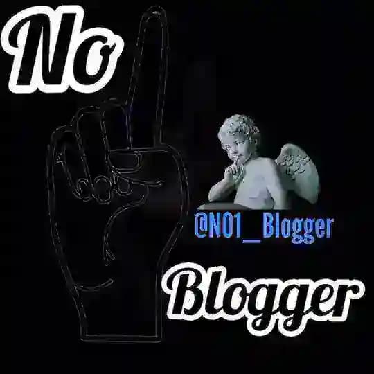 N0.1_Blogger Fun Page 📡🔌 Profile