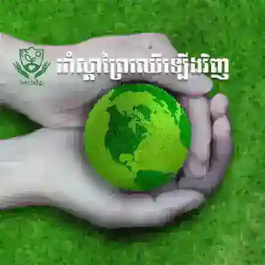 គម្រោង Baitong Warriors ដាំស្តាព្រៃឡើងវិញ