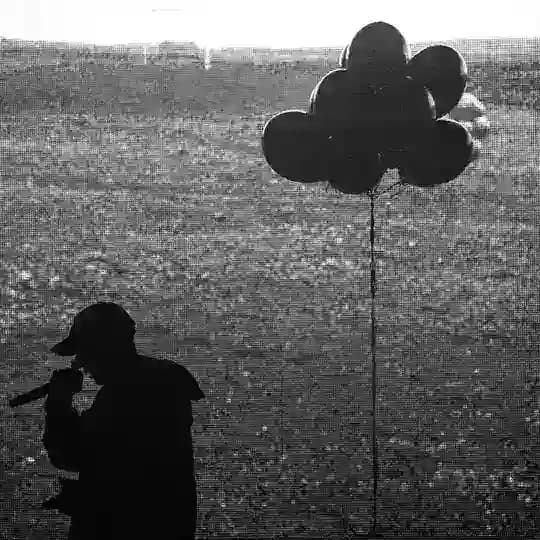 NF Real Music