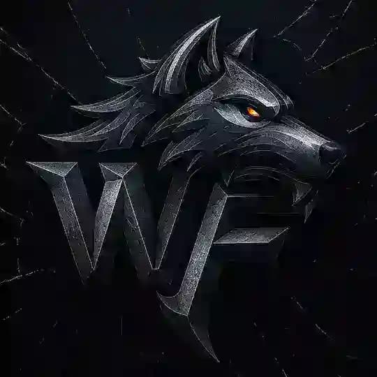 NFT WOLVES | KAiDO