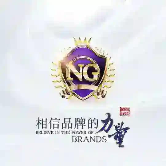 NG集团招商