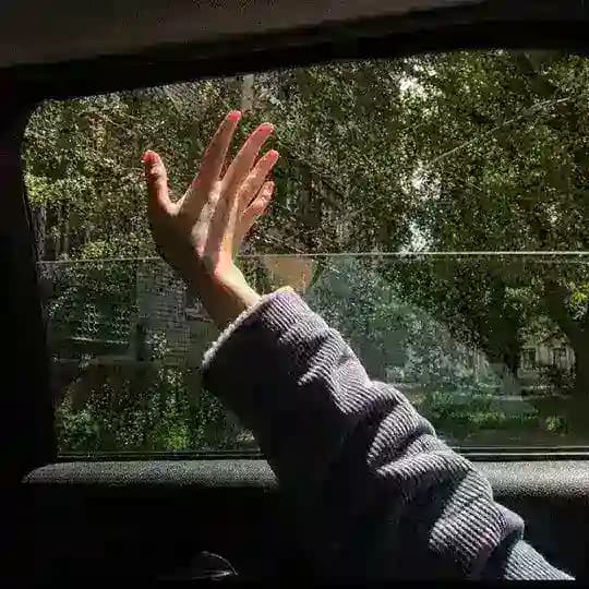 .• ملخصات السادس علمي𓇼