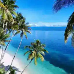 🌴Nature!🍁 Profile