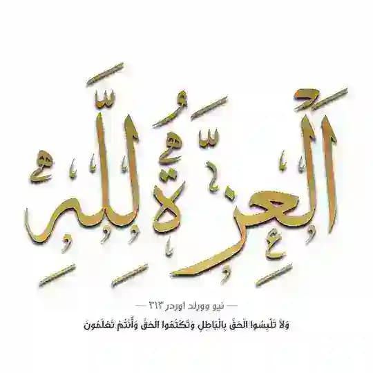 نيو وورلد اوردر ٣١٣