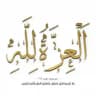 نيو وورلد اوردر ٣١٣