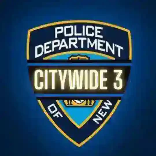 TSL - NYPD CW 3