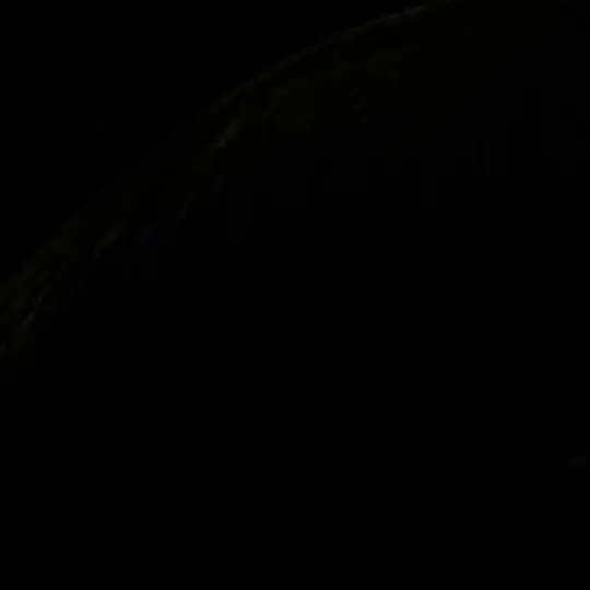 Tajik Trader Profile