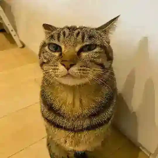 なな - Nana