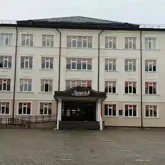 nartkalalicey1