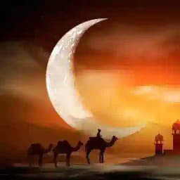 NASHIDALAR VA SALOVATLAR Profile