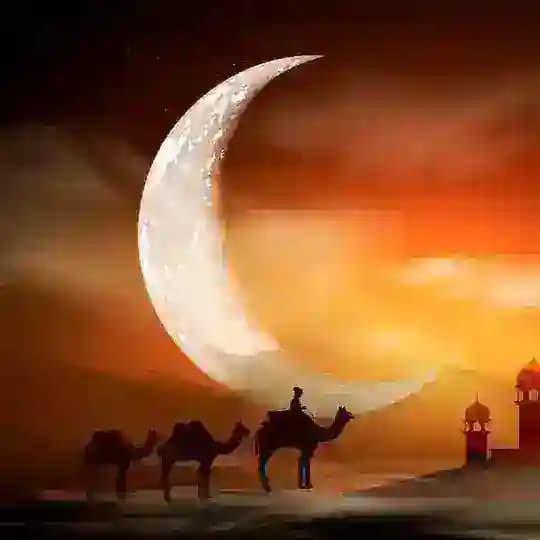 NASHIDALAR VA SALOVATLAR Profile