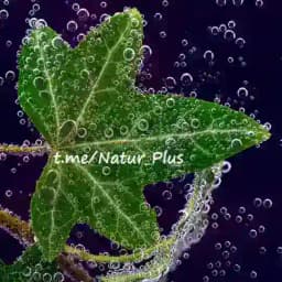 🌱NaturPlus*🌱 Profile