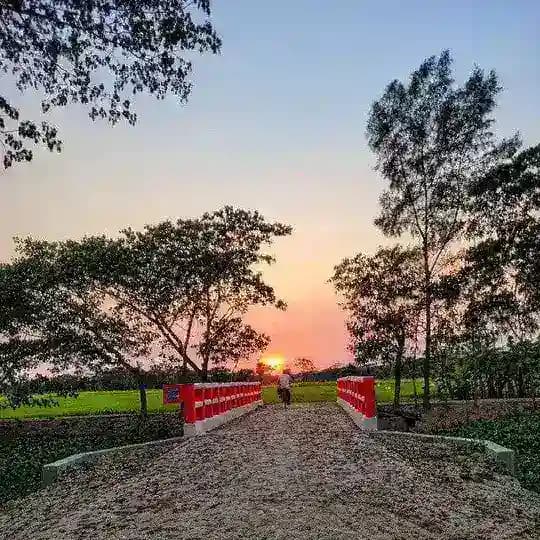 প্রকৃতিক ভিডিও Profile