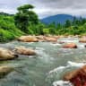 প্রাকৃতিক সৌন্দর্য 🌿🌱🌲