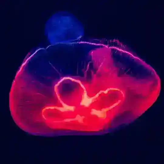 Nature & Biologie Profile