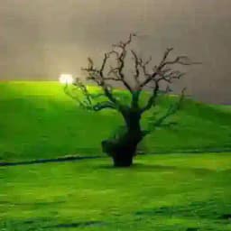 Nature|طبیعت Profile