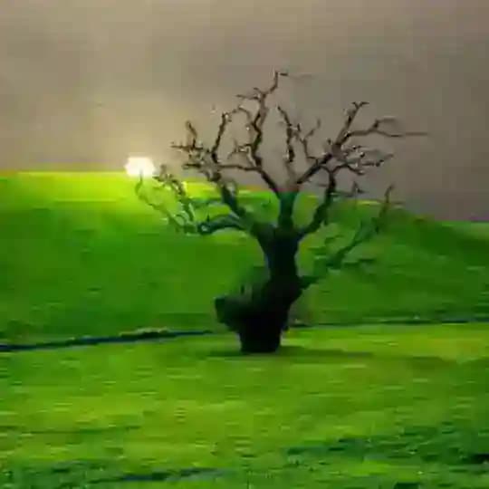 Nature|طبیعت Profile