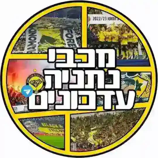 מכבי נתניה עדכונים