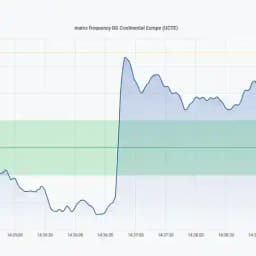 RJ2-Netzfrequenzinfodienst Plus Profile