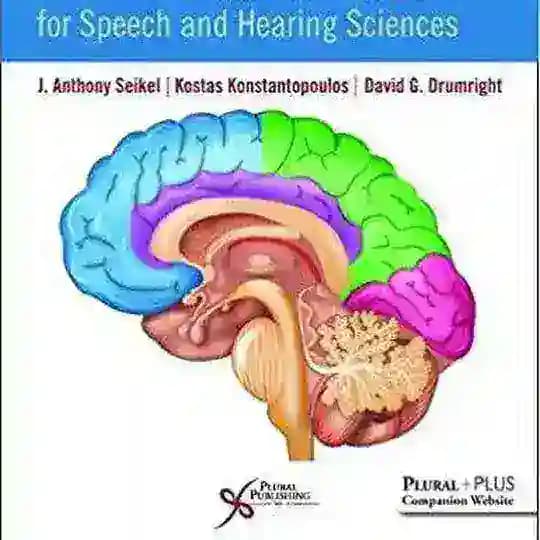 NeuroAnatomy & NeuroPhysiology