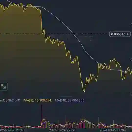 Forex Investment platform π