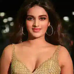Nidhhi Agerwal 💃 Profile