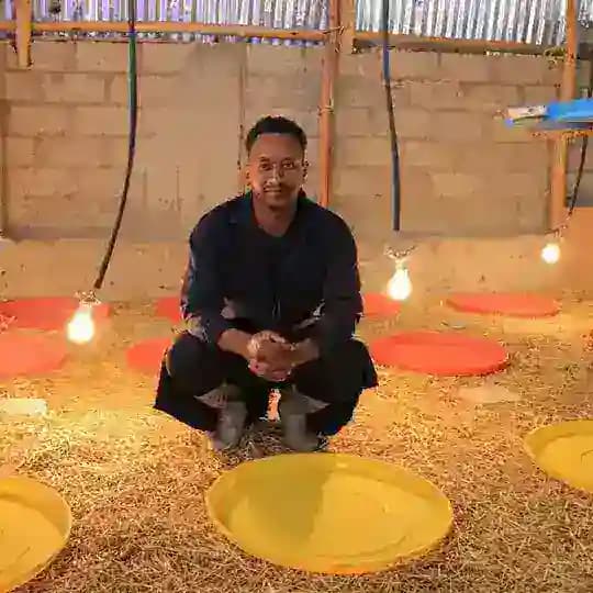 Nina Chicken Farm