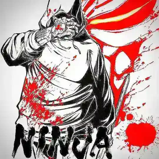 Ninja Kamui Anime Completo