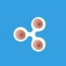 Nipple XRP Portal