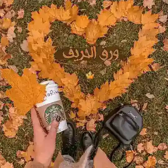 ورق الخريف 🍂🌻
