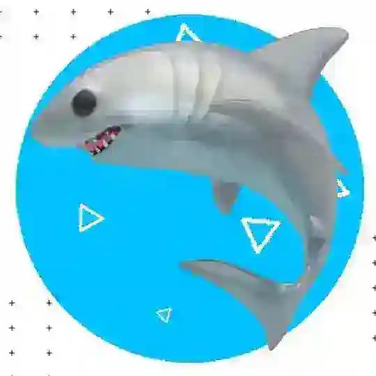 🦈 Noneckey