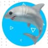 🦈 Noneckey