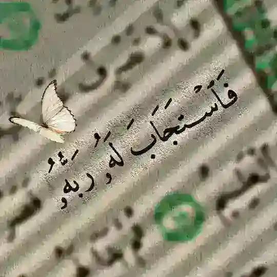 قرآن كريم ـ اجر
