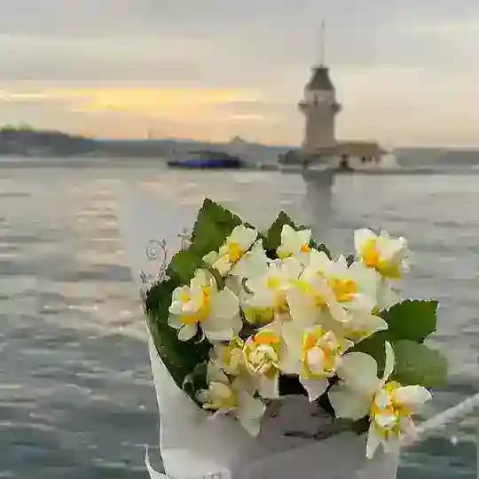 شتاء | 𝚆𝙸𝙽𝚃𝙴𝚁