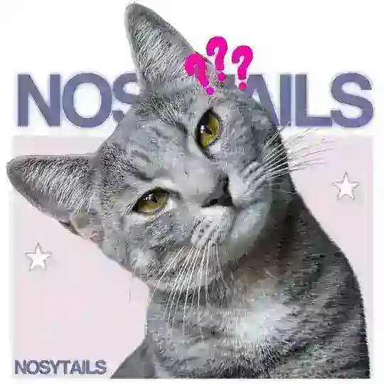 NOSY TAILS.