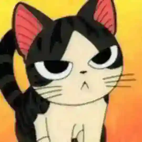 Vicineko