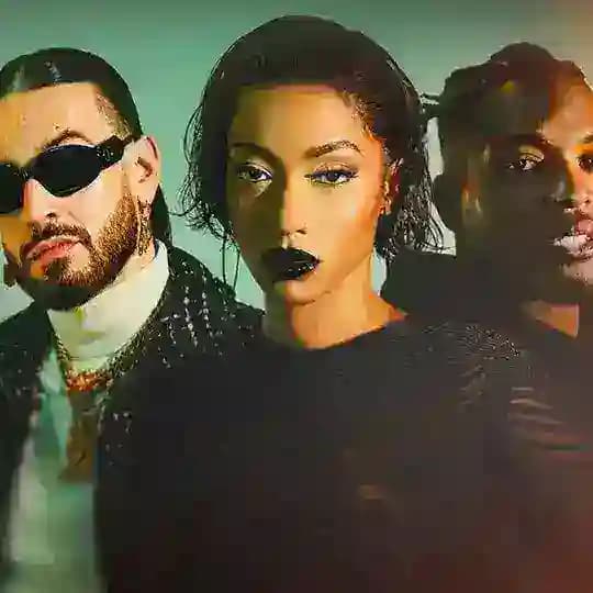 Nouvelle école Profile