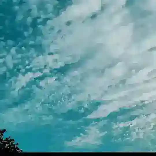 𝙋𝙪𝙡𝙨𝙚𝙇𝙞𝙣𝙚𝙨