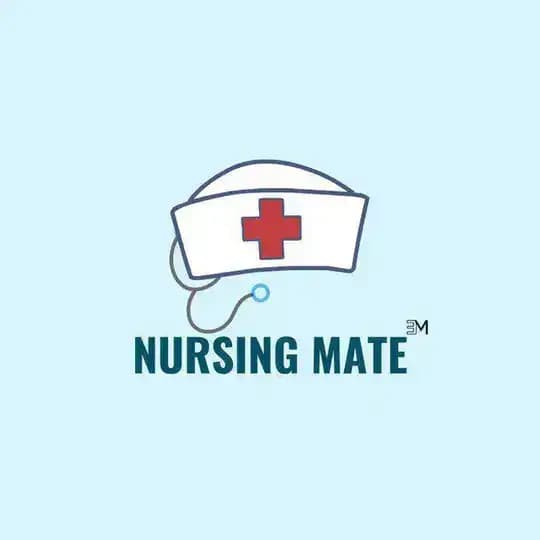 Nursing Mate