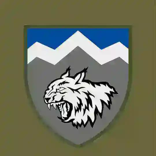 108 ОГШБ.
