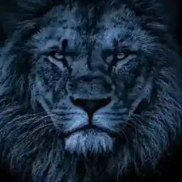 RACLE1X1⚽🤑🤑🤑🇺🇸🇨🇲🛡️⚔️... Profile