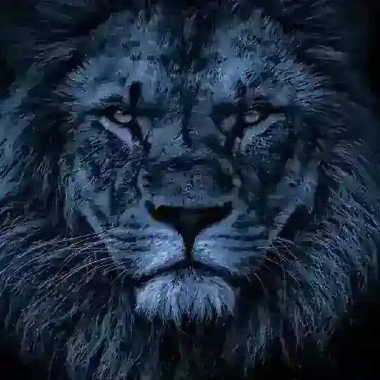 RACLE1X1⚽🤑🤑🤑🇺🇸🇨🇲🛡️⚔️... Profile