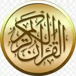 OYATIL KURSI Profile