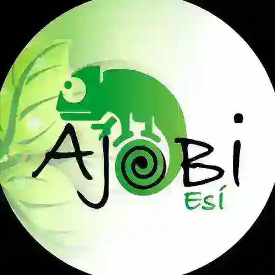 Canal - Oluwo Ifagbaiyin Agboola