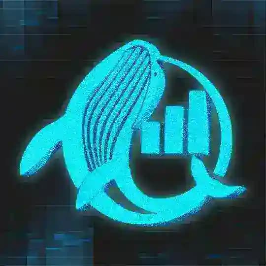 52Hz Onchain
