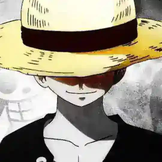 ONE PACE COMPLETE Profile